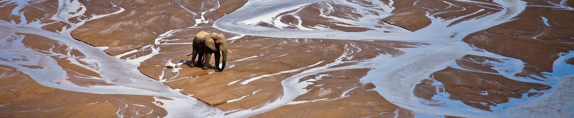 Save our iMfolozi Wilderness